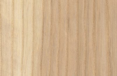 ash 400x284